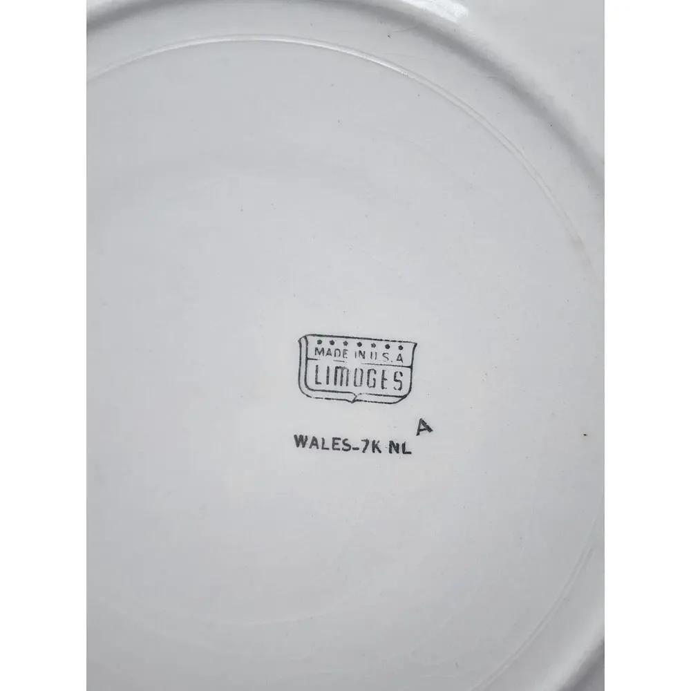 Vintage Limoges USA Wales Floral Dinner Plate 9.5